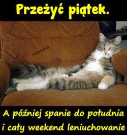 A To Juz Piatek Weekendu Poczatek Znadrudy Pl