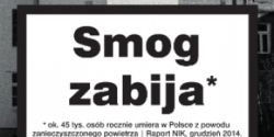 Nastał sezon grzewczy! Czym powinniśmy palić w piecach CO by siebie nawzajem nie truć?